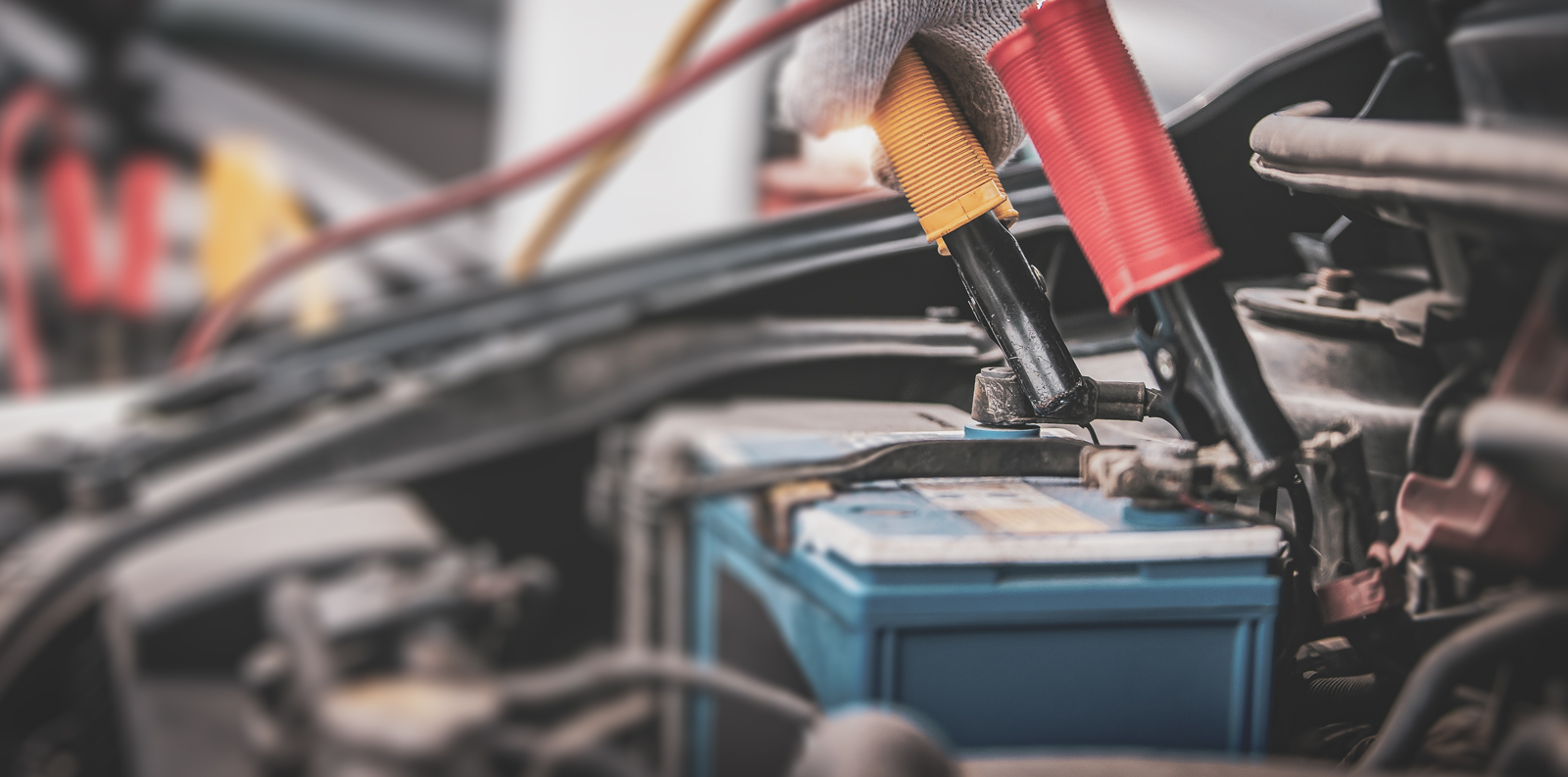 Person checking vehicle for inspection